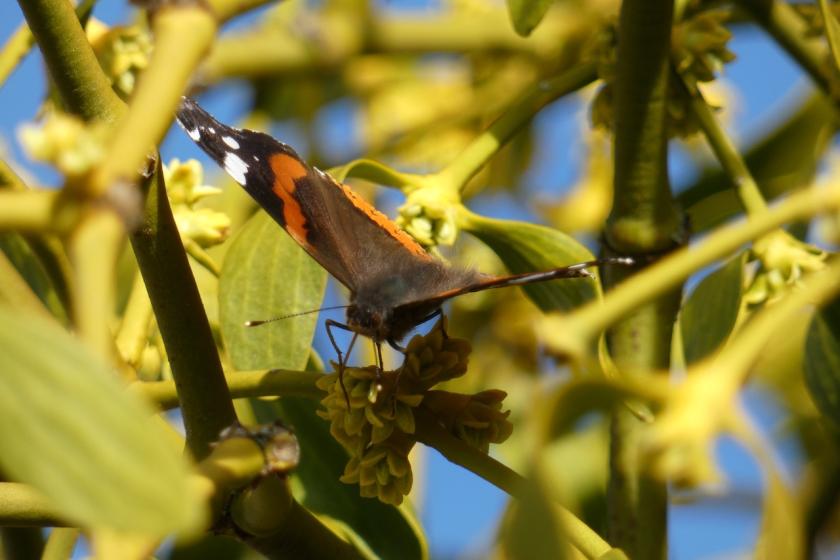 Allgemeine Informationen